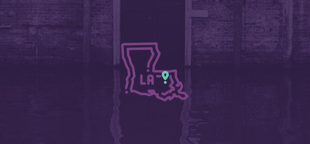 Recovery & Innovation After Disaster: Livingston Parish’s Story